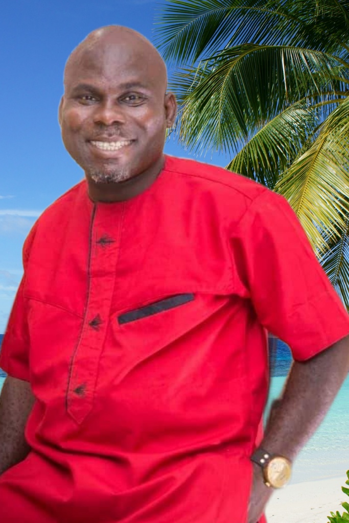 Anything Mineral Geologist E